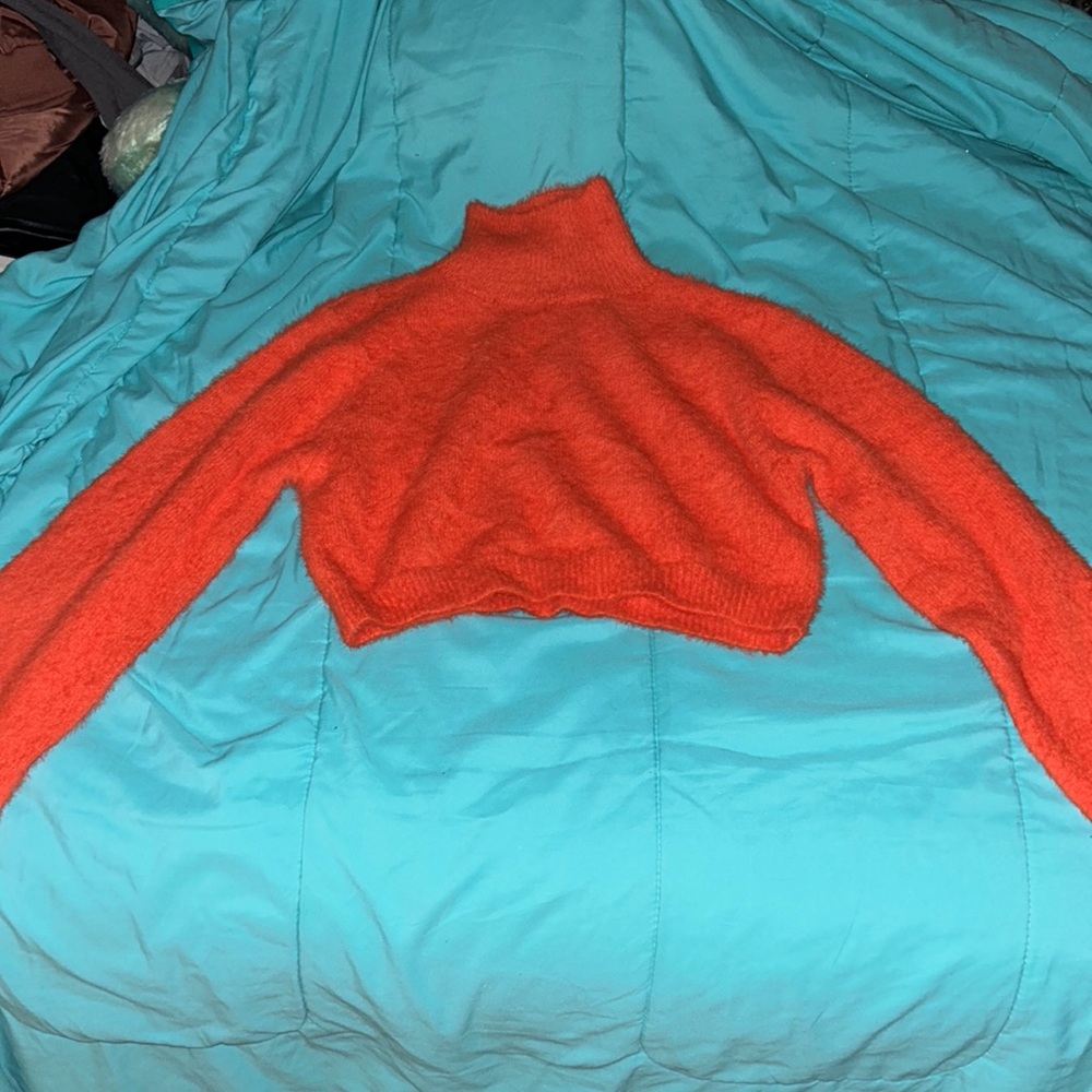 Fashion nova crop top/ sweater/ turtle neck